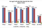 Nhập siêu xấp xỉ 880 triệu USD trong nửa đầu tháng 7 Nhập siêu xấp xỉ 880 triệu USD trong nửa đầu tháng 7