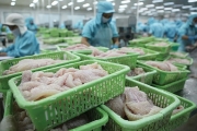 Ngành thủy sản Việt tận dụng cơ hội từ chiến tranh thương mại Mỹ - Trung Ngành thủy sản Việt tận dụng cơ hội từ chiến tranh thương mại Mỹ - Trung