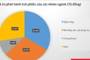 Các ngân hàng dẫn đầu trong cuộc đua phát hành trái phiếu Các ngân hàng dẫn đầu trong cuộc đua phát hành trái phiếu