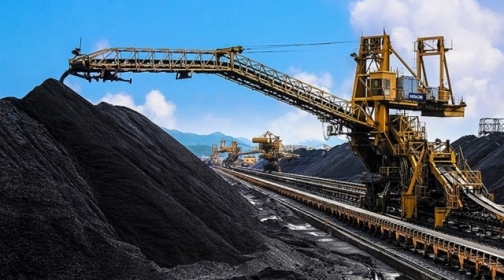 Bimico chốt ngày trả tiền cổ tức 13%