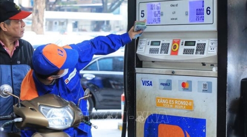 Giá tất cả các loại xăng dầu đều giảm trong năm 2025