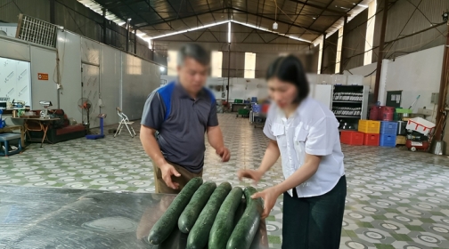 Tiết lộ khoản \'hoa hồng\' cho hiệu trưởng để tuồn thịt lợn bệnh vào trường học