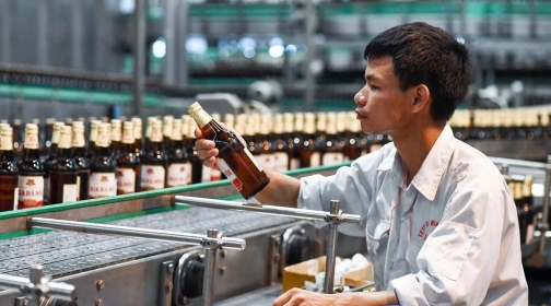 Nhiều doanh nghiệp rượu bia có lợi nhuận tăng mạnh