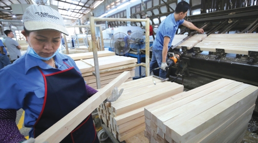 Ngành gỗ quý II/2026 ghi nhận những gam màu trái chiều